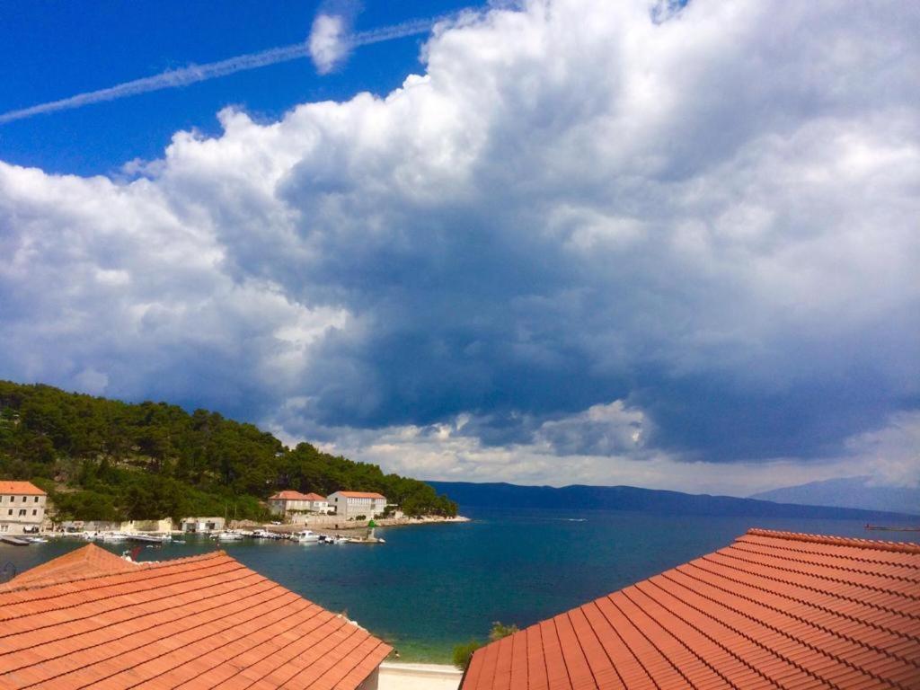 Marga Jelsa (Hvar)